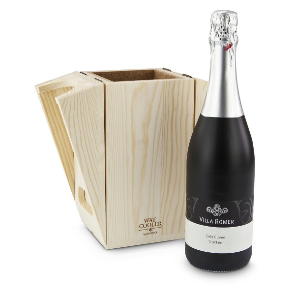 Geschenkidee Flaschenkühler & Sekt