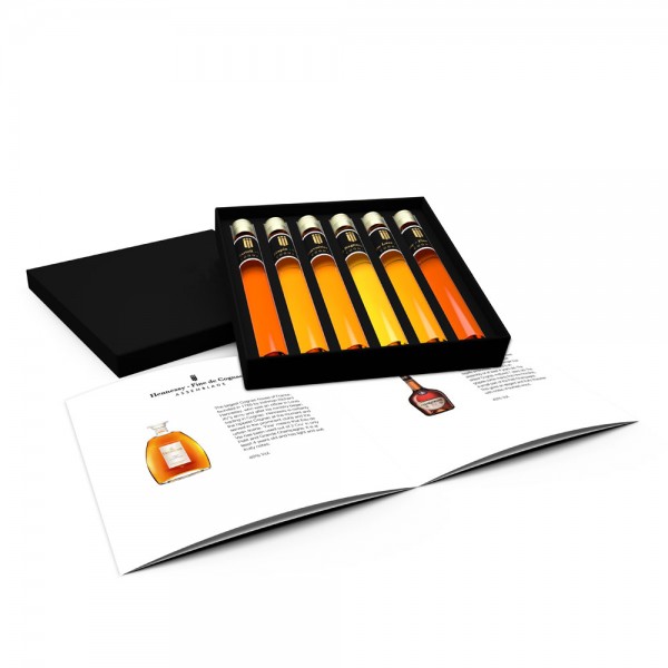 Whisky Probierset Weltreise 6er Set